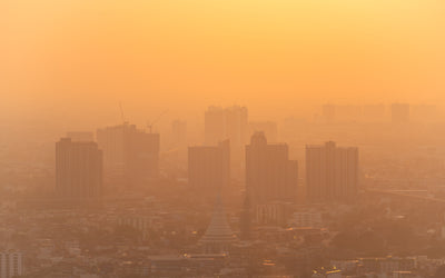 How Does Environmental Air Quality Impact Your Lung and Heart Health?