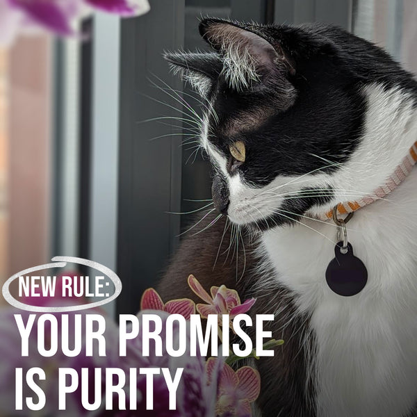 PDP-PETS-FirstAidGel