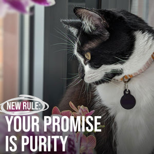 PDP-PETS-SilverHydrosol-