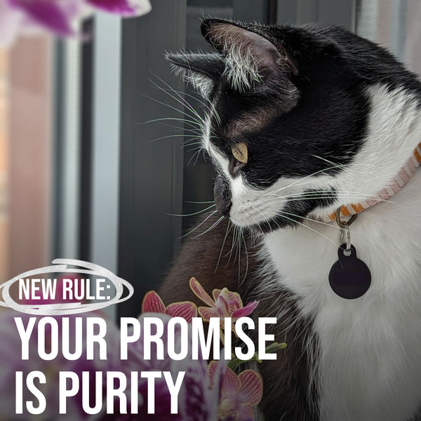 PDP-PETS-SilverHydrosol-