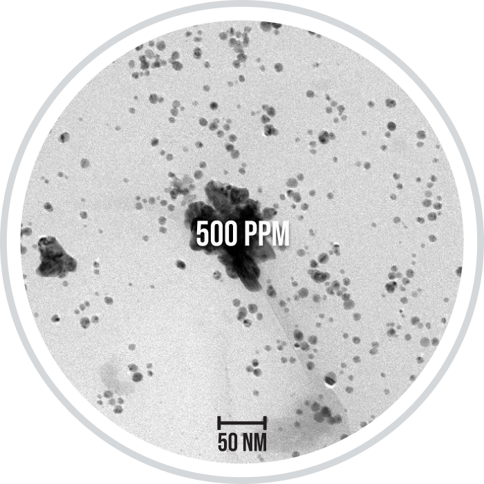 Silver_Wings_TEM circle