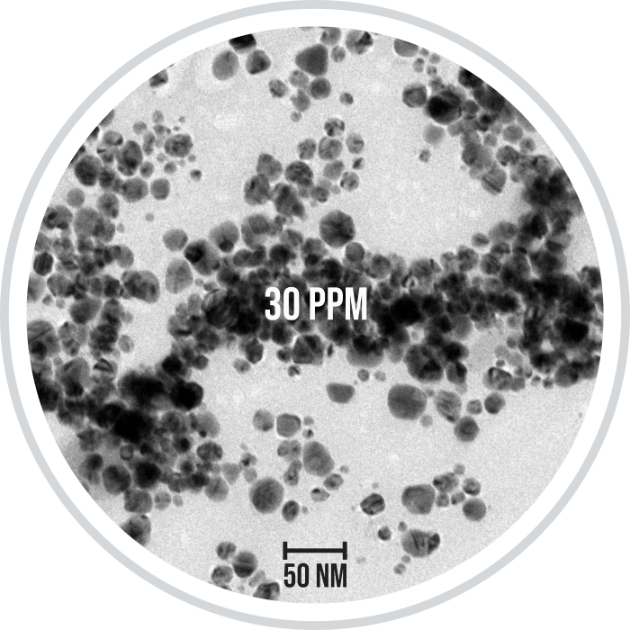 Source_Naturals_TEM_505c2572-ead0-4437-b895-a3ddb2fe339c