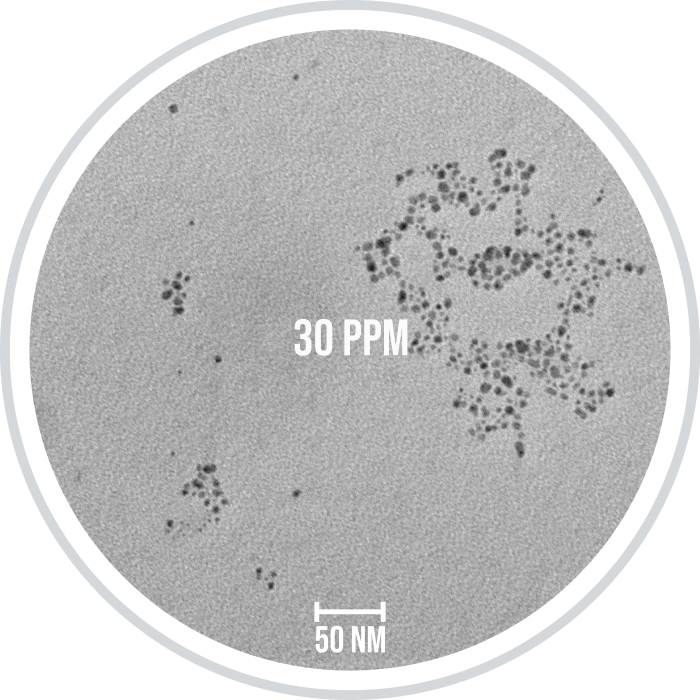 Triquetra_Health_LLC_TEM