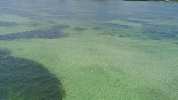 Sovereign_Silver_Campus_1 